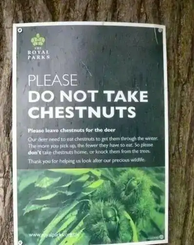 英国央行加息到4.25%!在英国摘野韭菜罚£1000?!真相其实是这样!