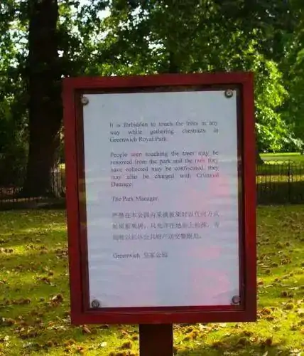 英国央行加息到4.25%!在英国摘野韭菜罚£1000?!真相其实是这样!