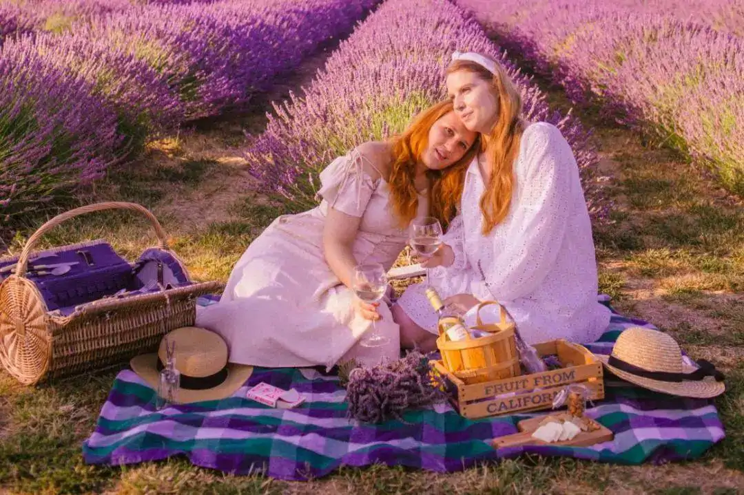英国“普罗旺斯”最好时节!8大薰衣草花田限时绽放指南:7月最适前往!